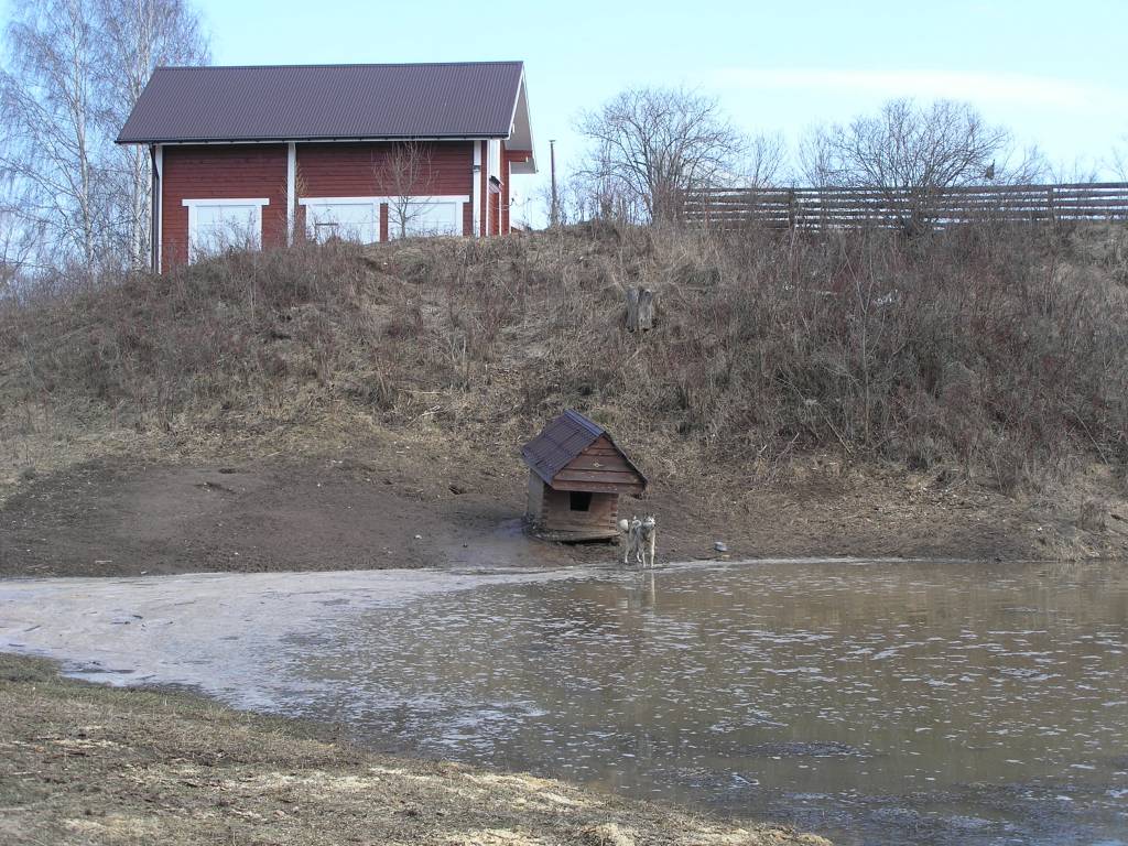 17.JPG