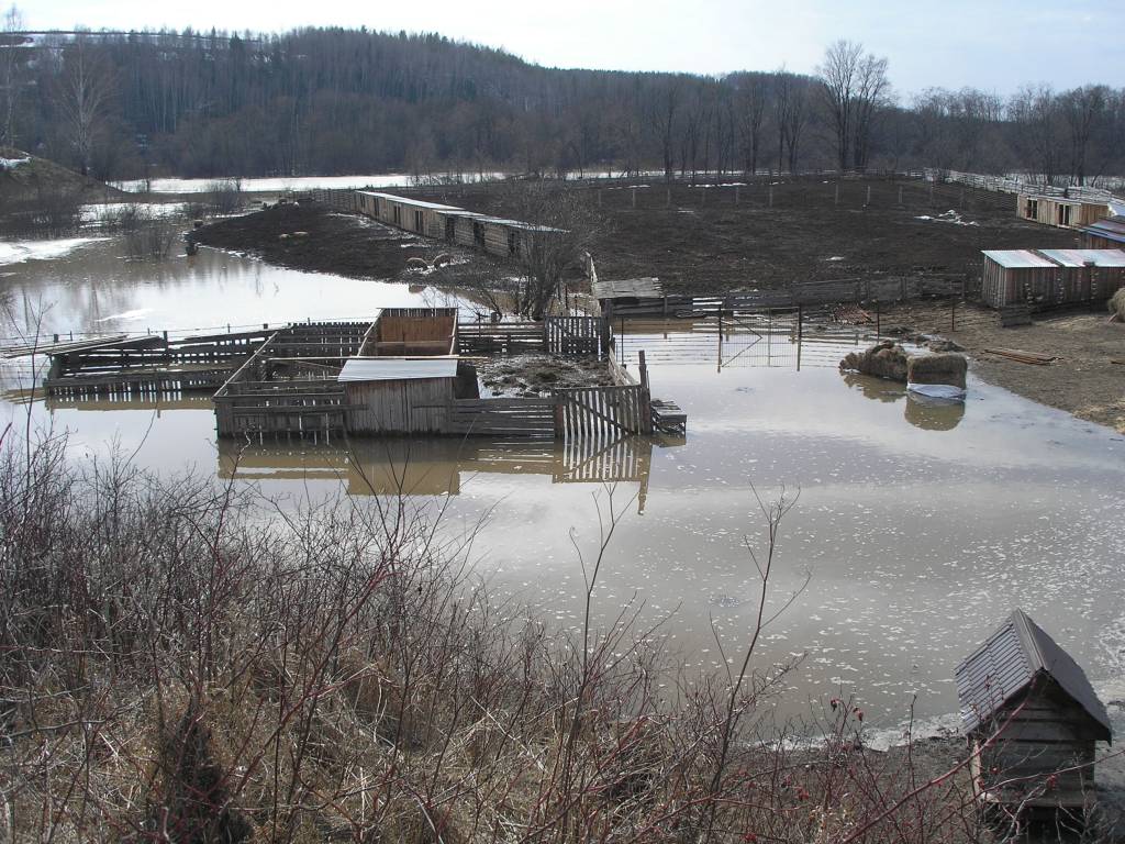 06.JPG