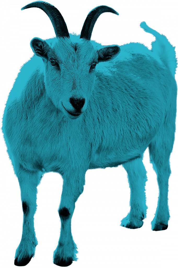 коза синяя.jpg