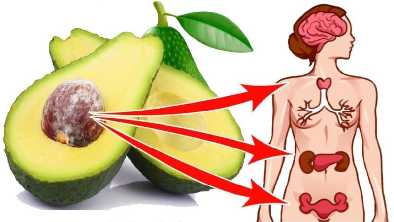 Может ли из за авокадо болеть желудок