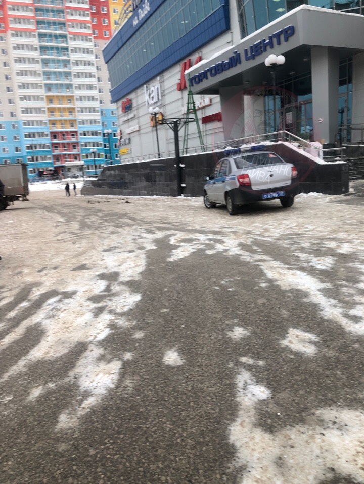 кит.jpg