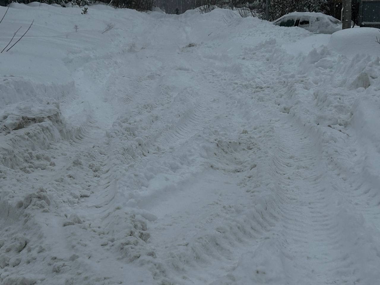 Фото: жители микрорайона Новобродовский