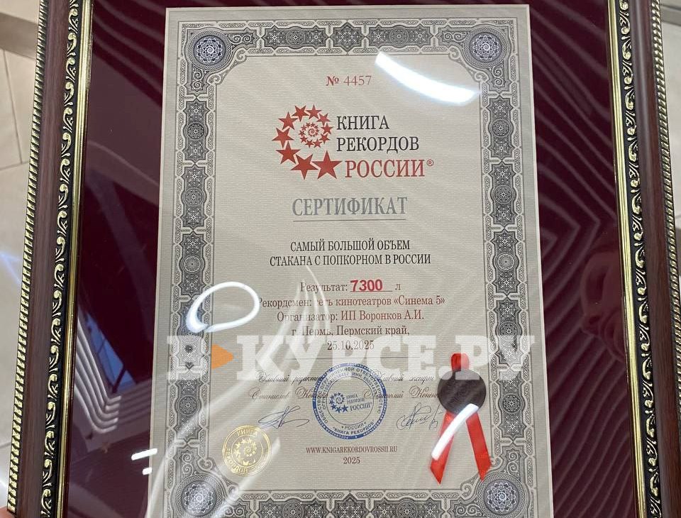 Фото: В курсе.ру