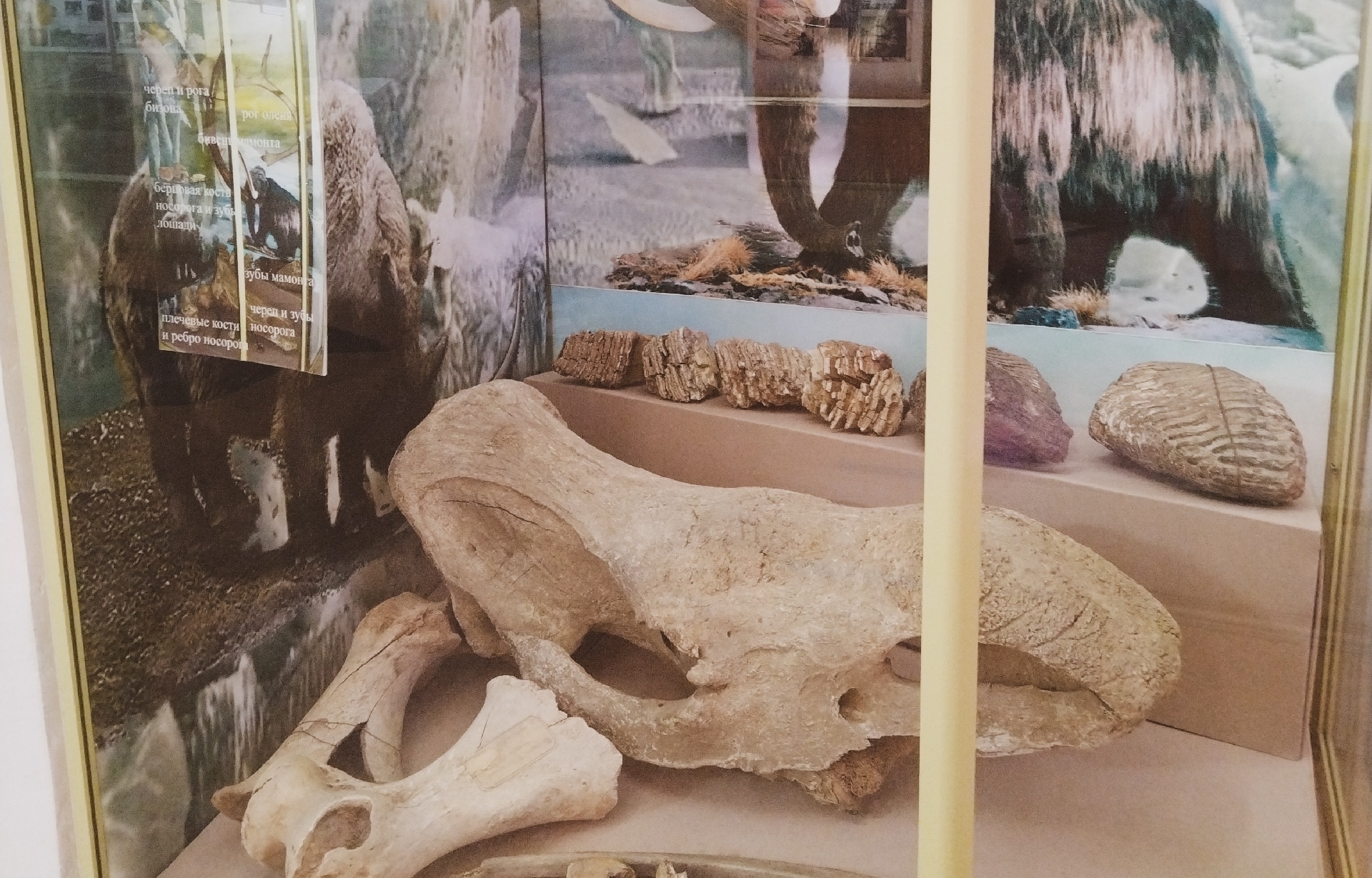 Фото: Ульяна Бажанова