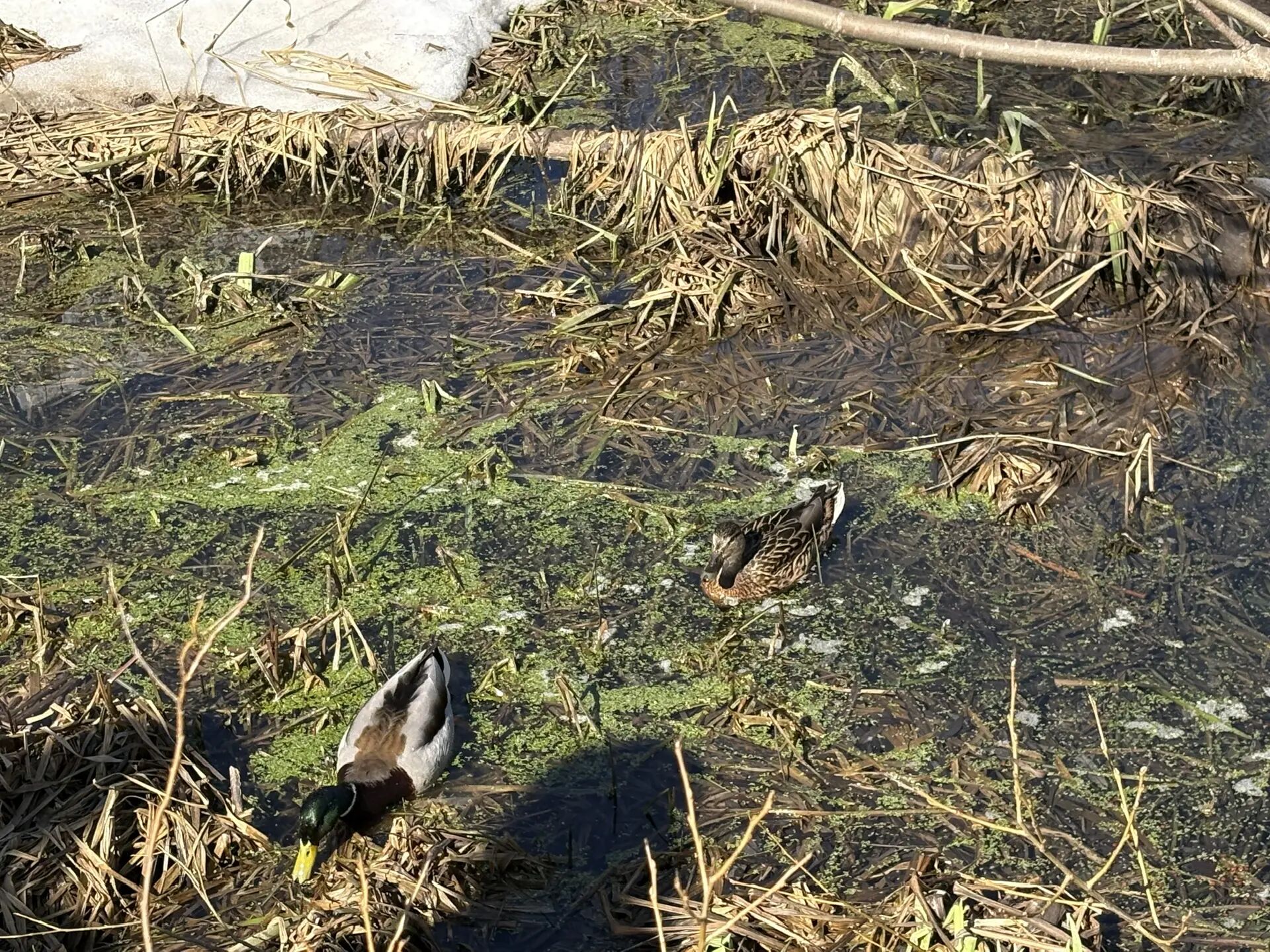 Фото: v-kurse.ru