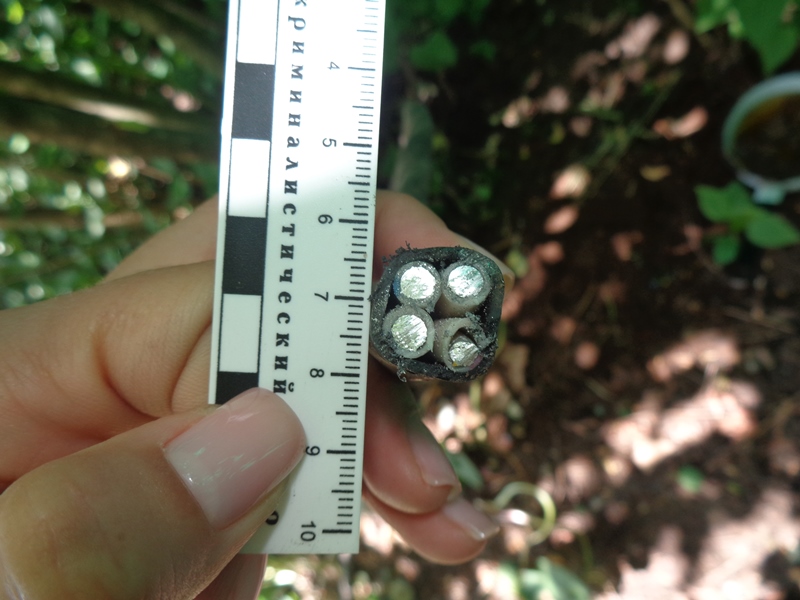 Фото: пресс-служба ГУ МВД России по Пермскому краю