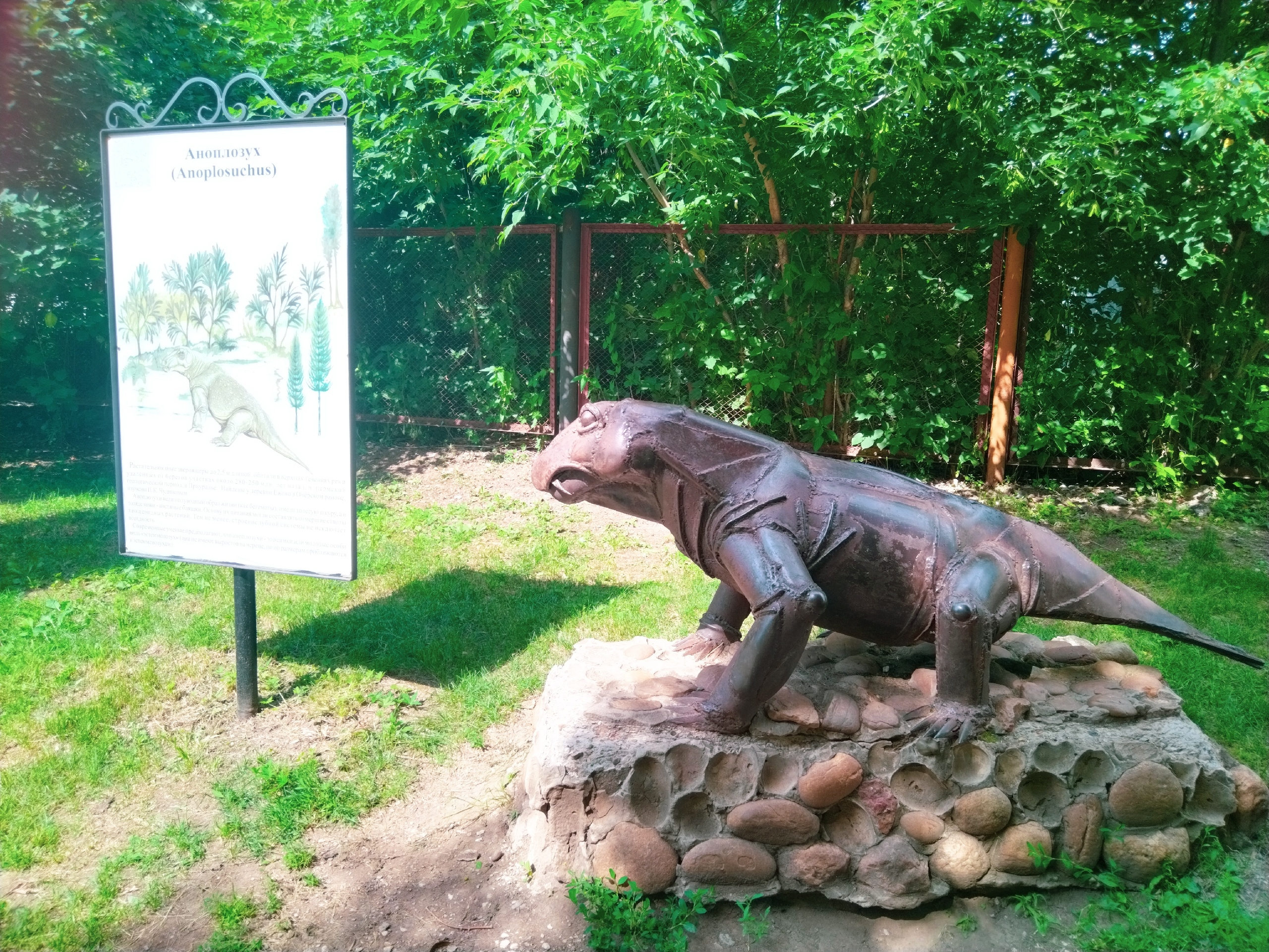 Фото: Ульяна Бажанова