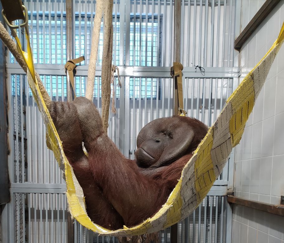 Фото: пресс-служба министерства культуры Пермского края