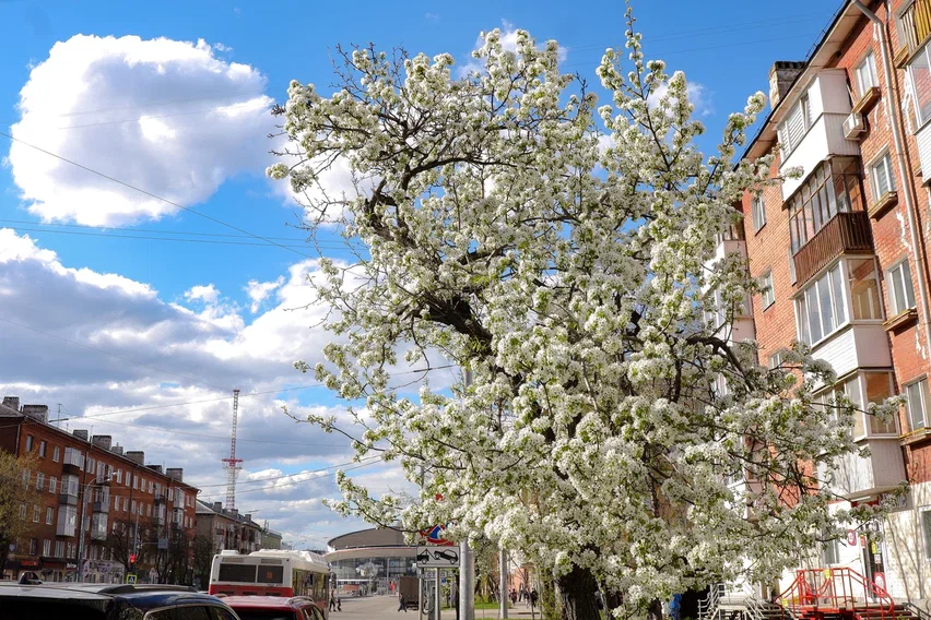 Фото: Елена Майорова