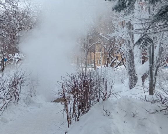 Фото: В курсе.ру 