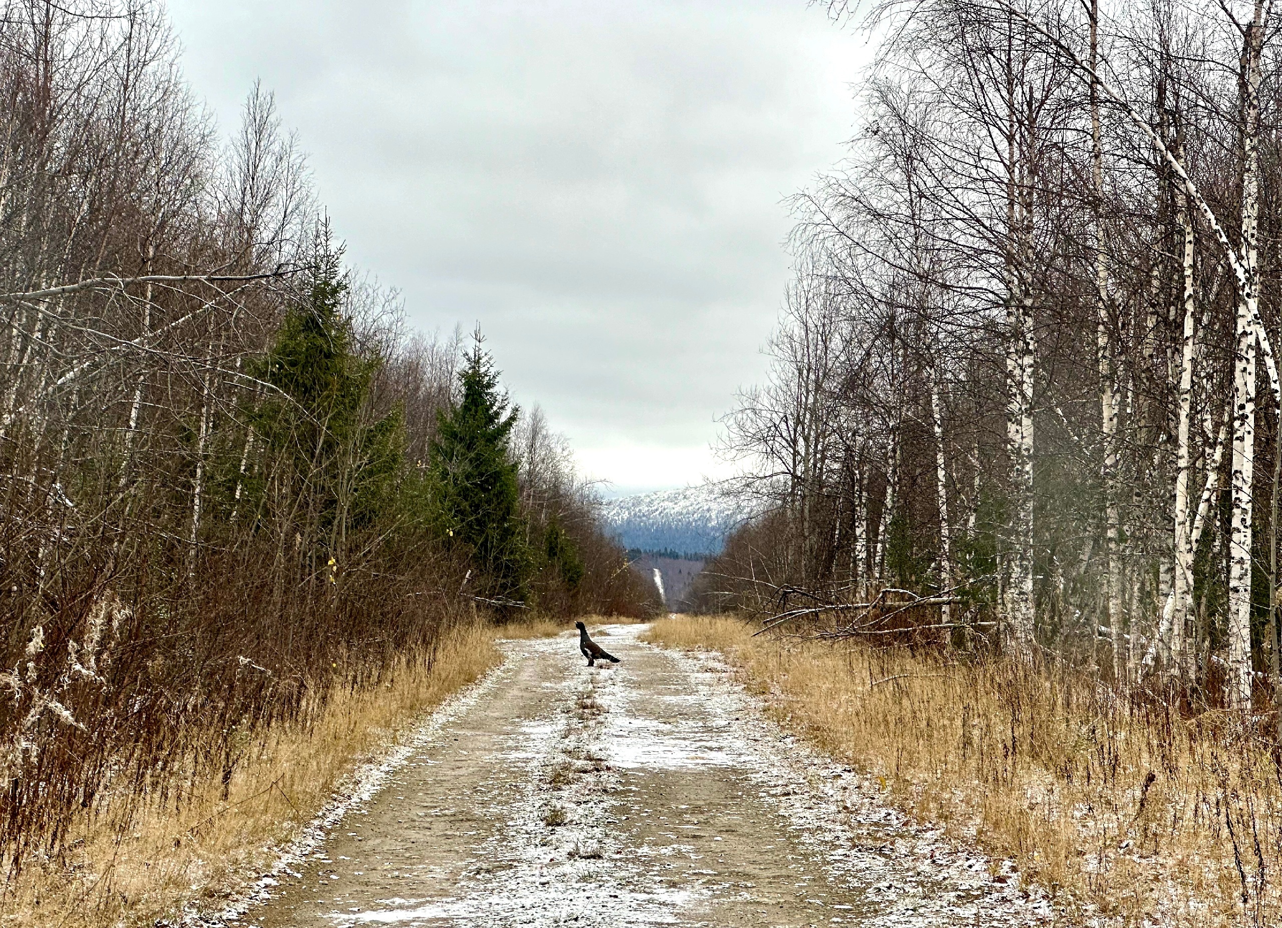 Фото: В курсе.ру \ Полина Анкушина