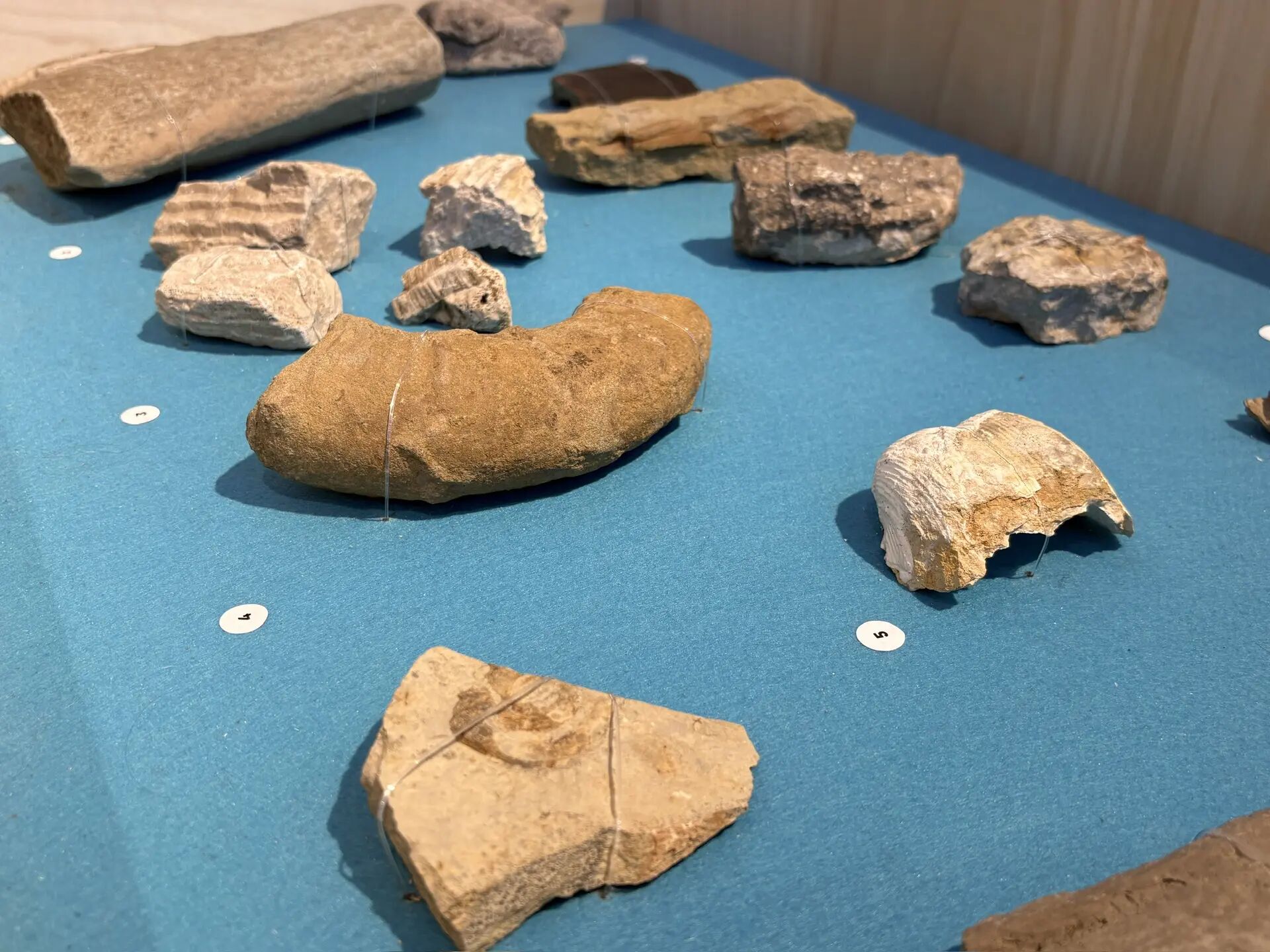 Фото: v-kurse.ru