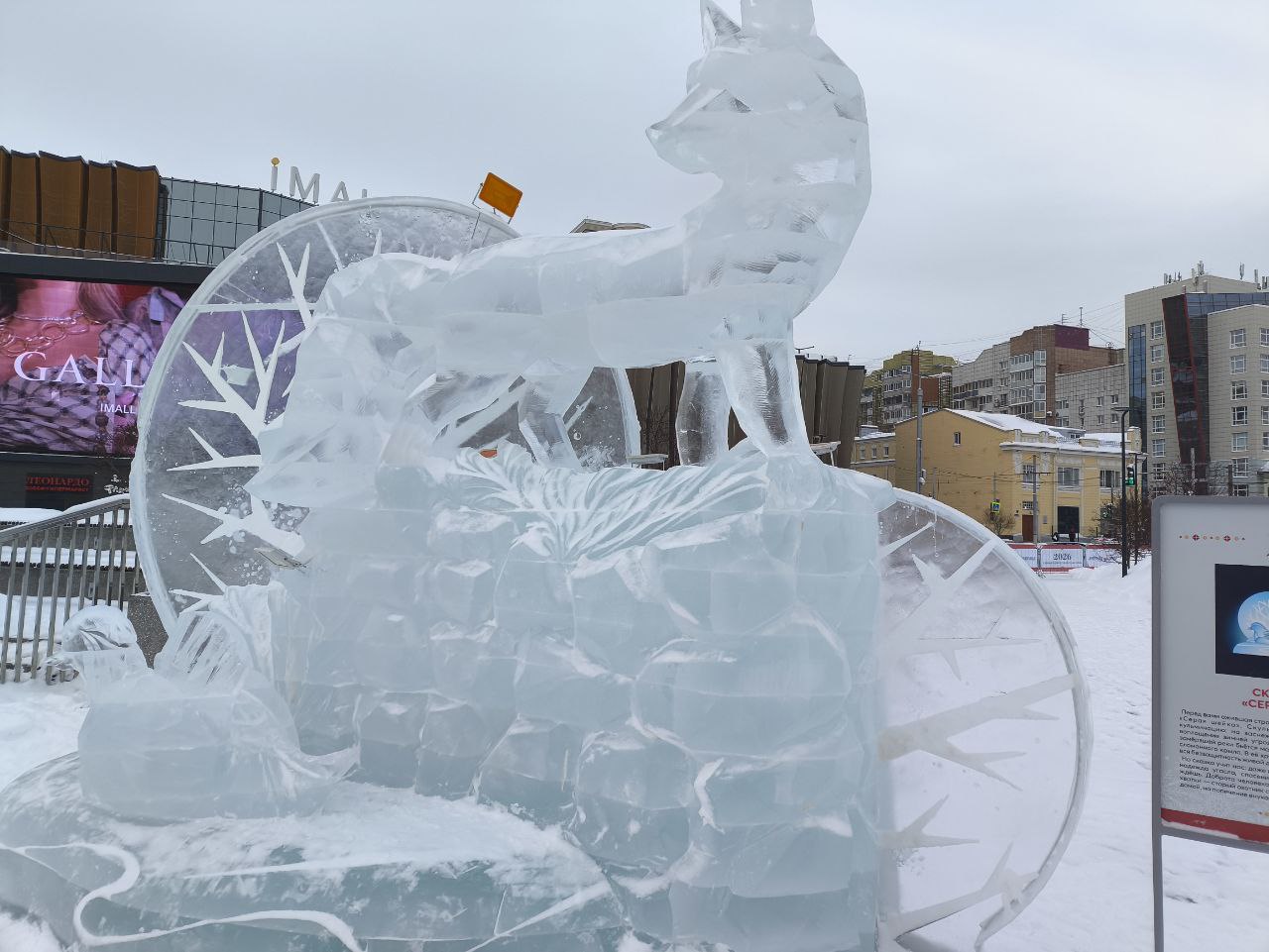 Фото: В курсе.ру