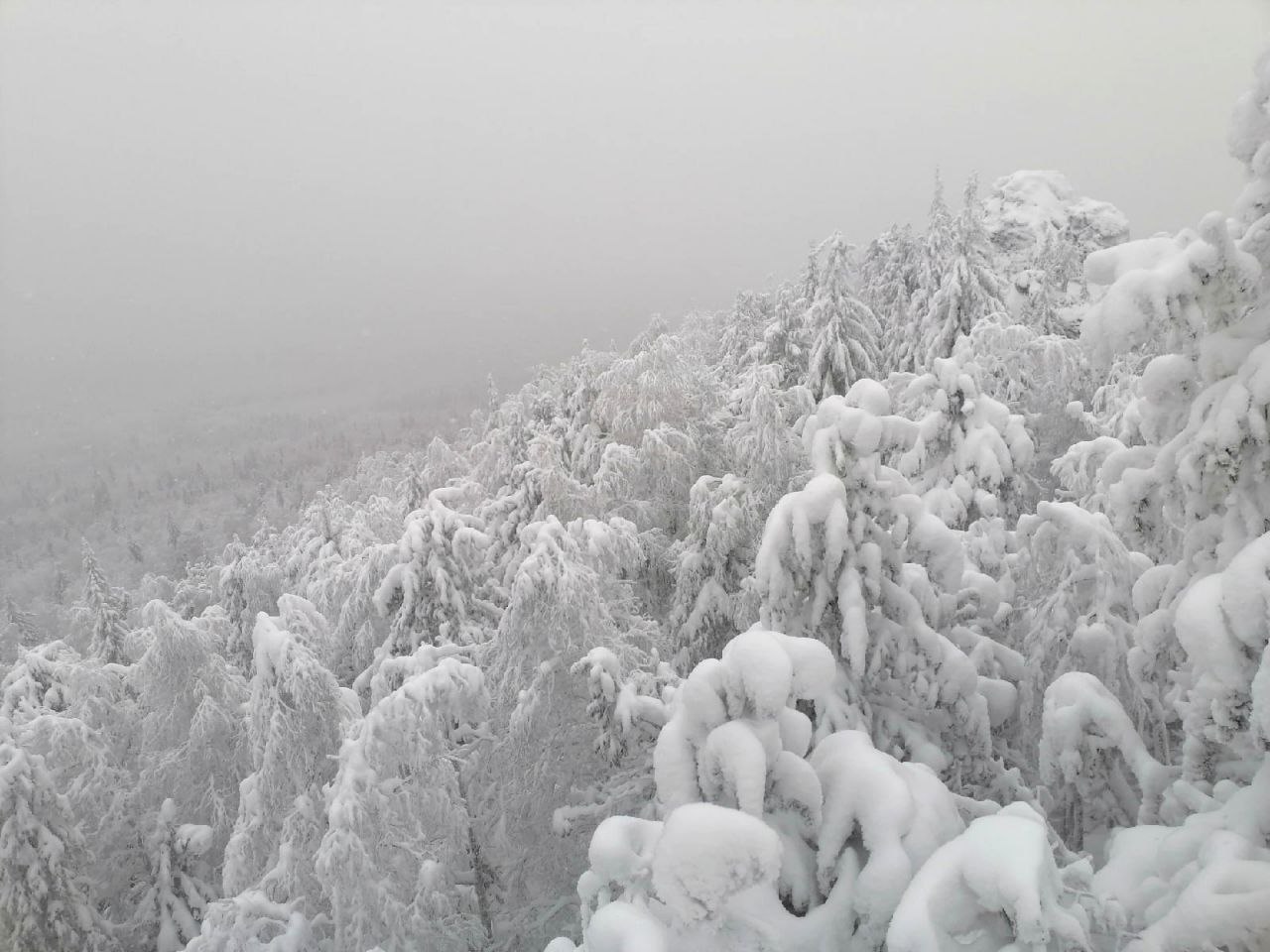 Фото: В курсе.ру