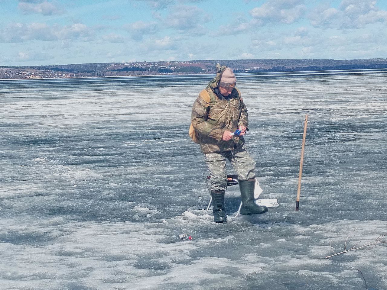 Фото: В курсе.ру