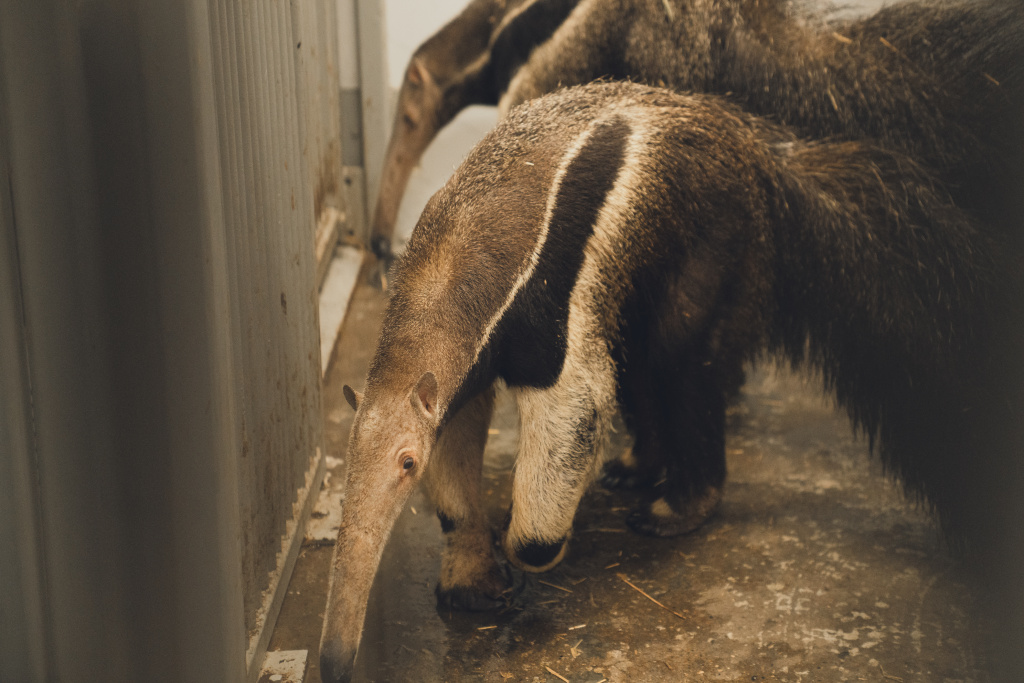 Фото: пресс-служба министерства культуры Пермского края
