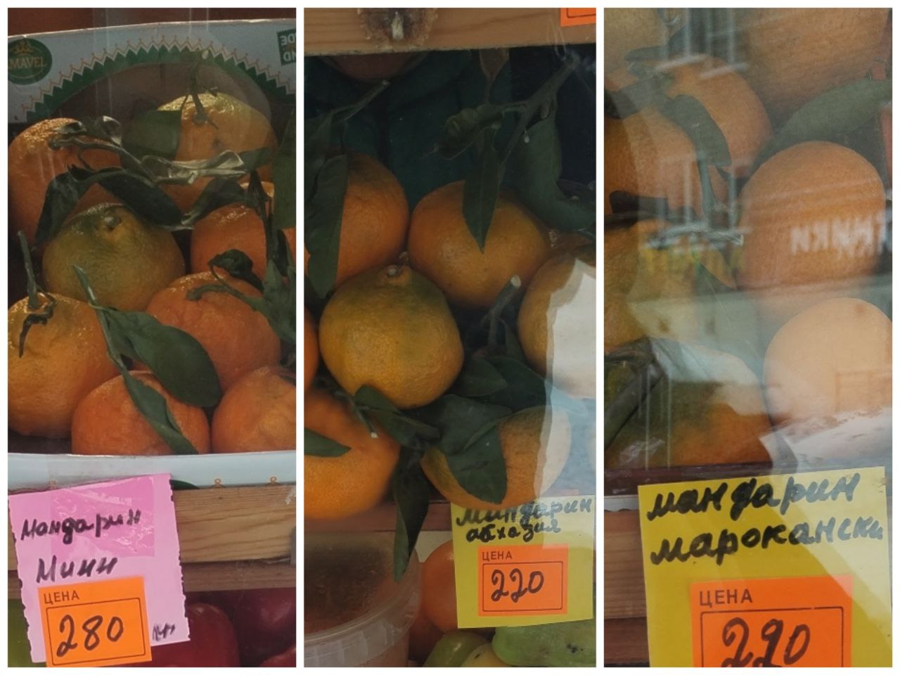 Фото: Полина Анкушина