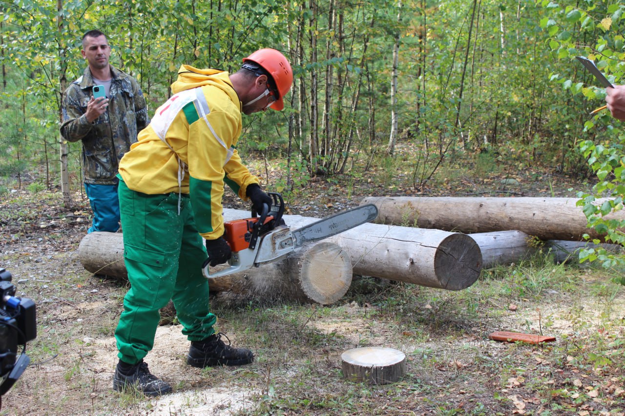 Фото: Министерство природных ресурсов, лесного хозяйства и экологии Пермского края