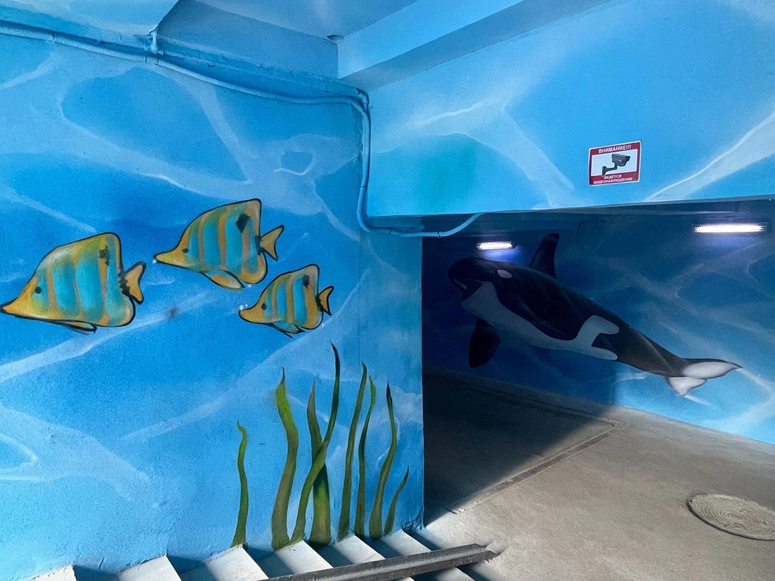 Фото: администрация города Перми