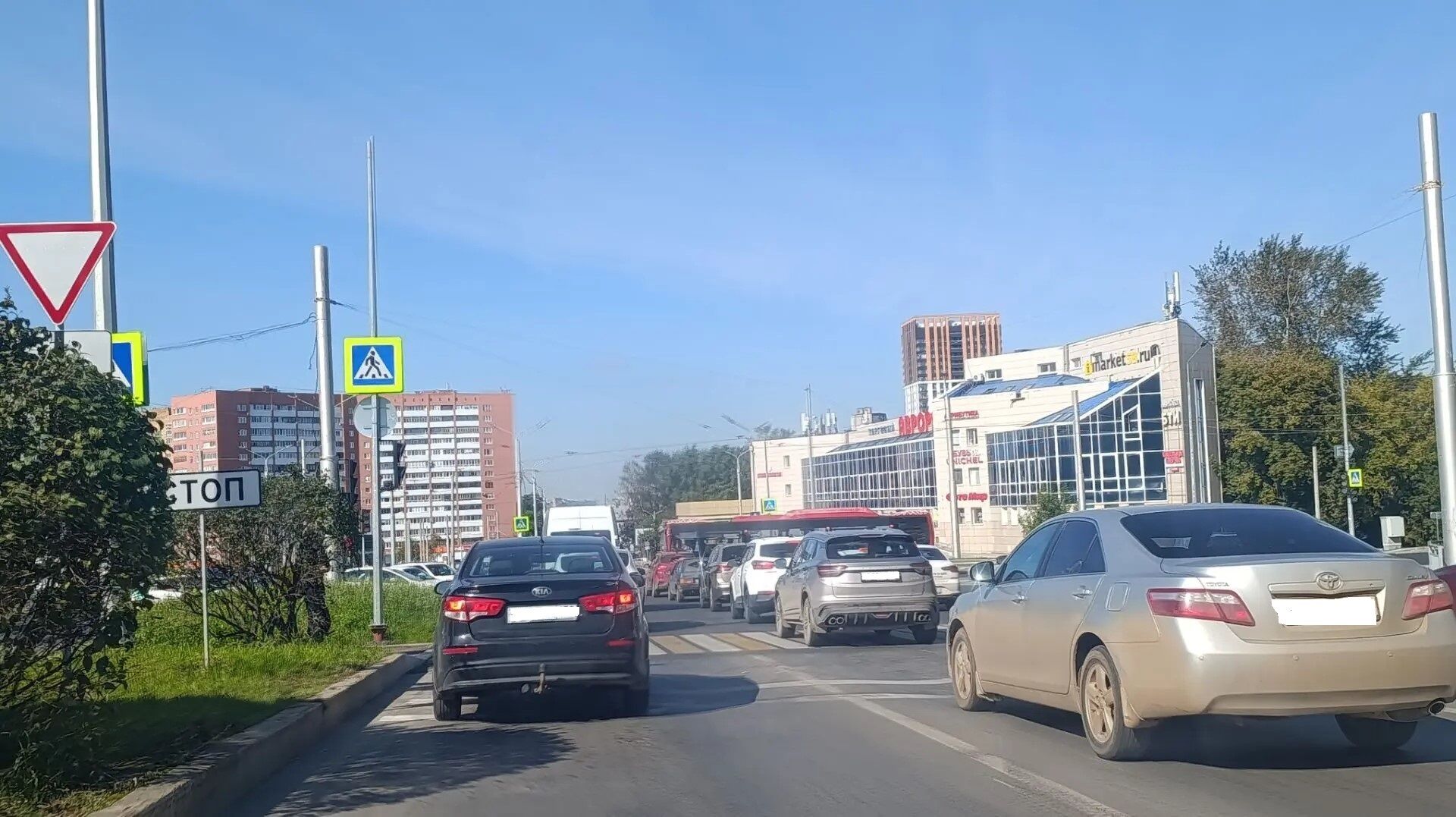 v-kurse.ru
