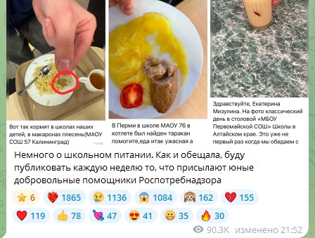 Фото: Екатерина Мизулина / ТГ