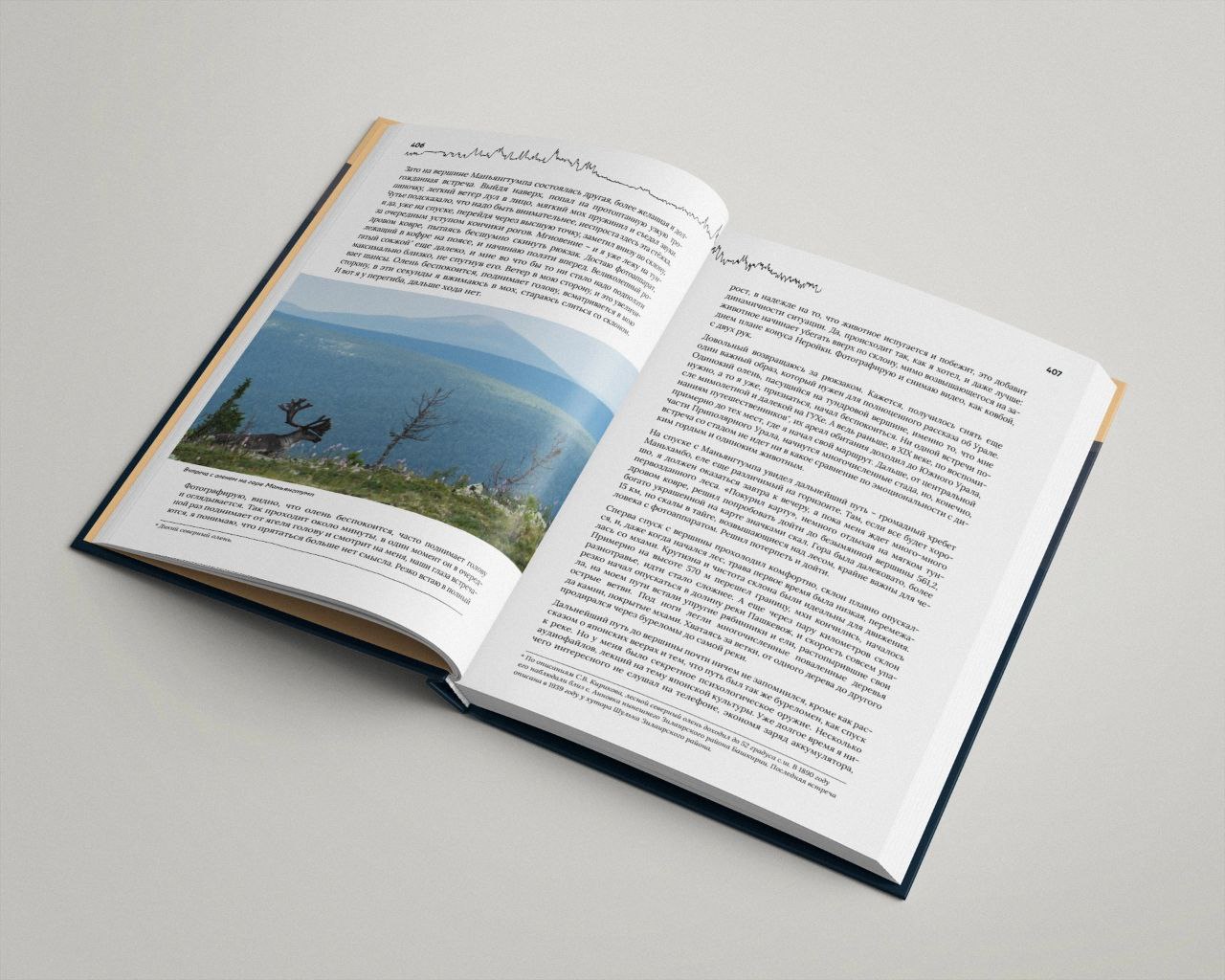 Фото: Олег Чегодаев / вк