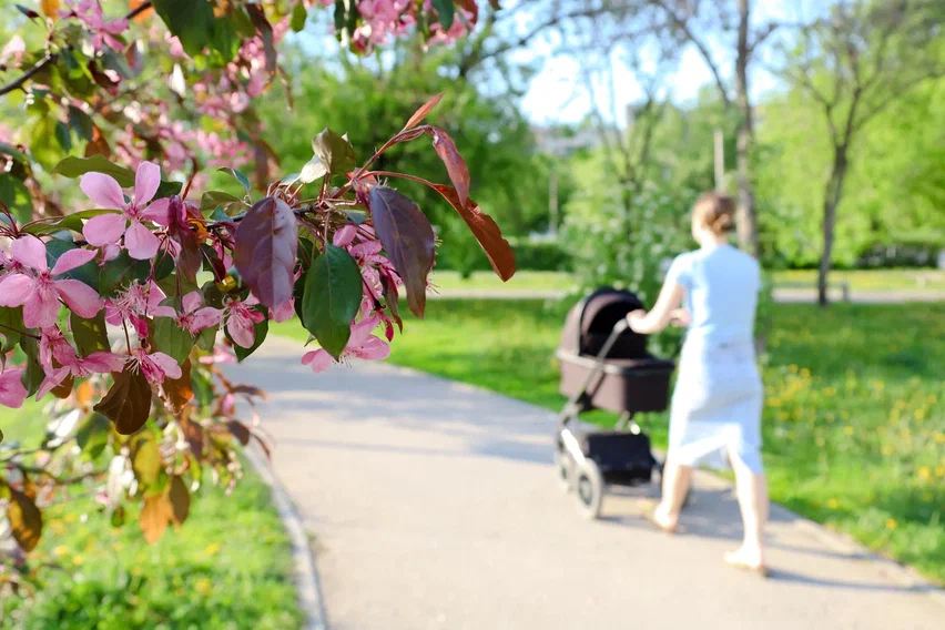Фото: Елена Майорова