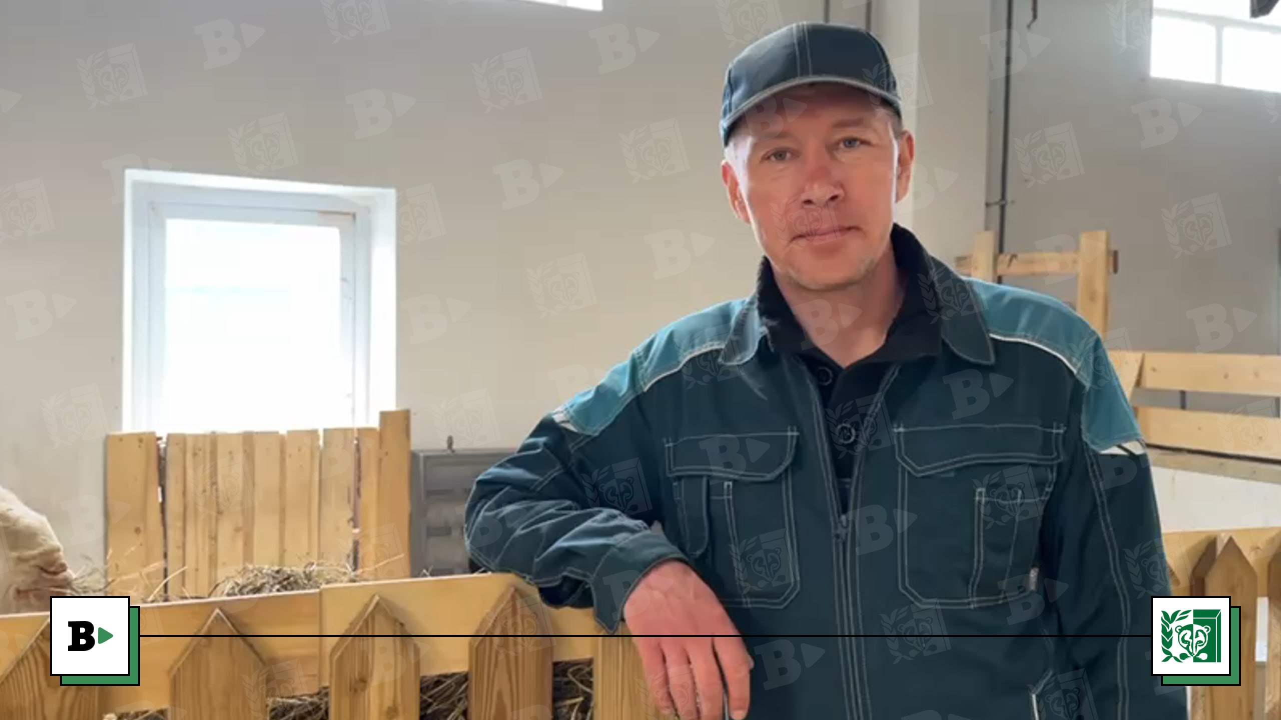 Фото: В курсе.ру