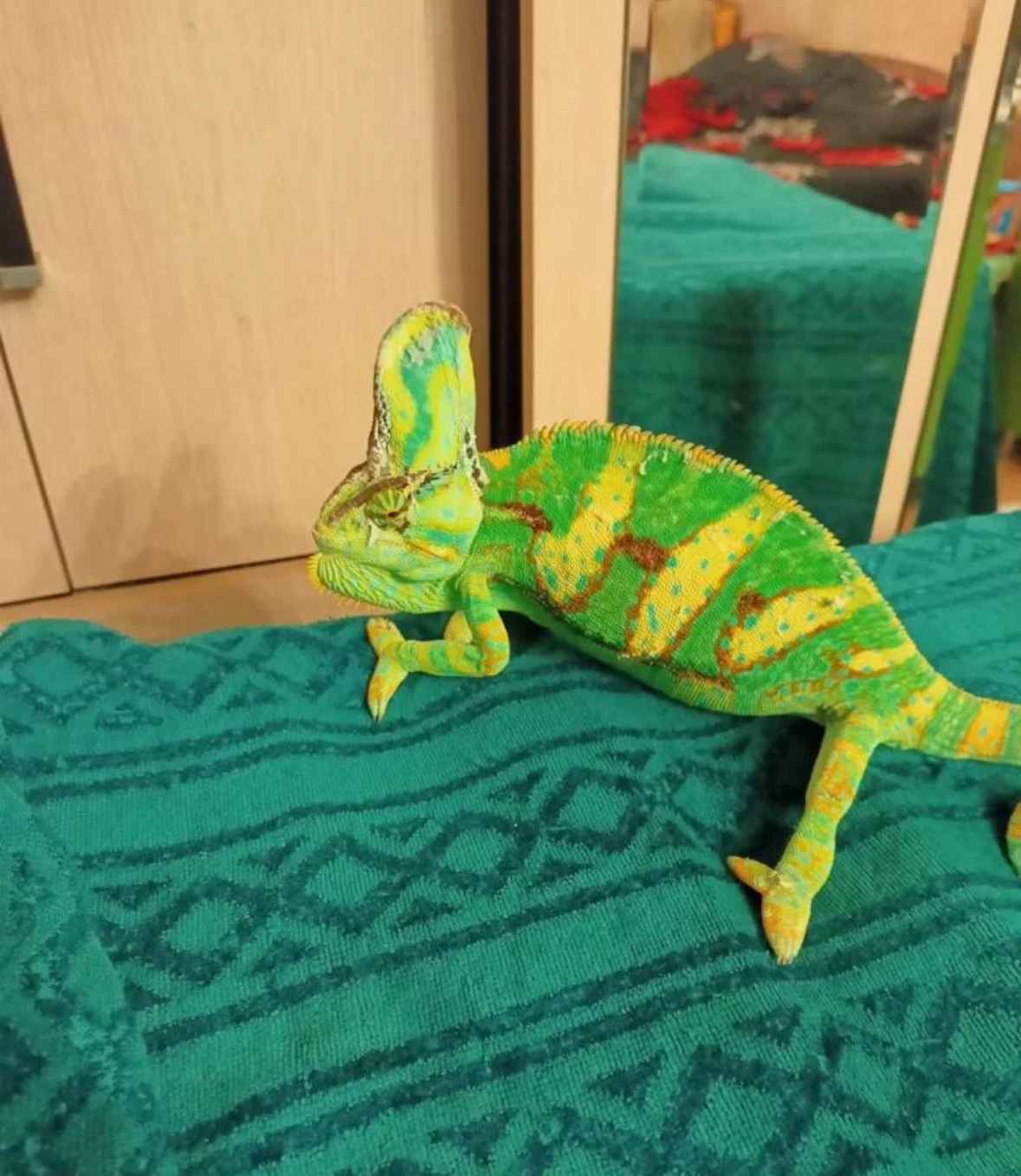 Фото: «Авито»