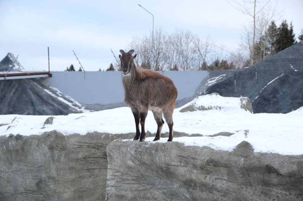 Фото: сайт губернатора и правительства Пермского края