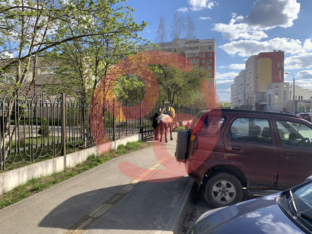 Фото: «Управляем вместе»