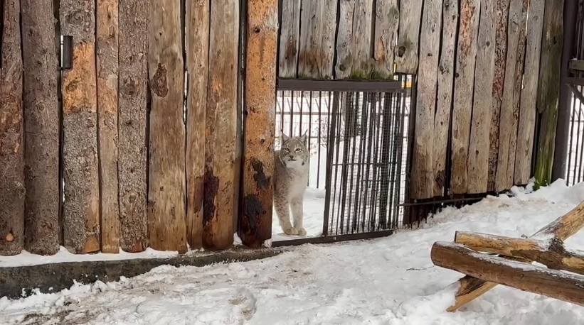 Фото: В курсе.ру