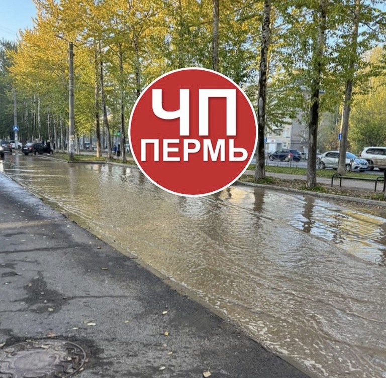 telegram-канал ЧП Пермь новости