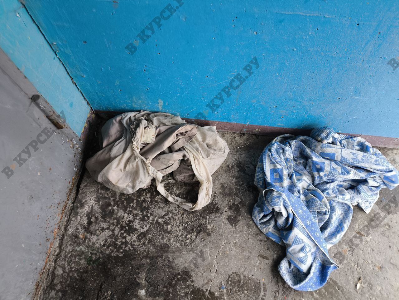 Фото: В курсе. ру