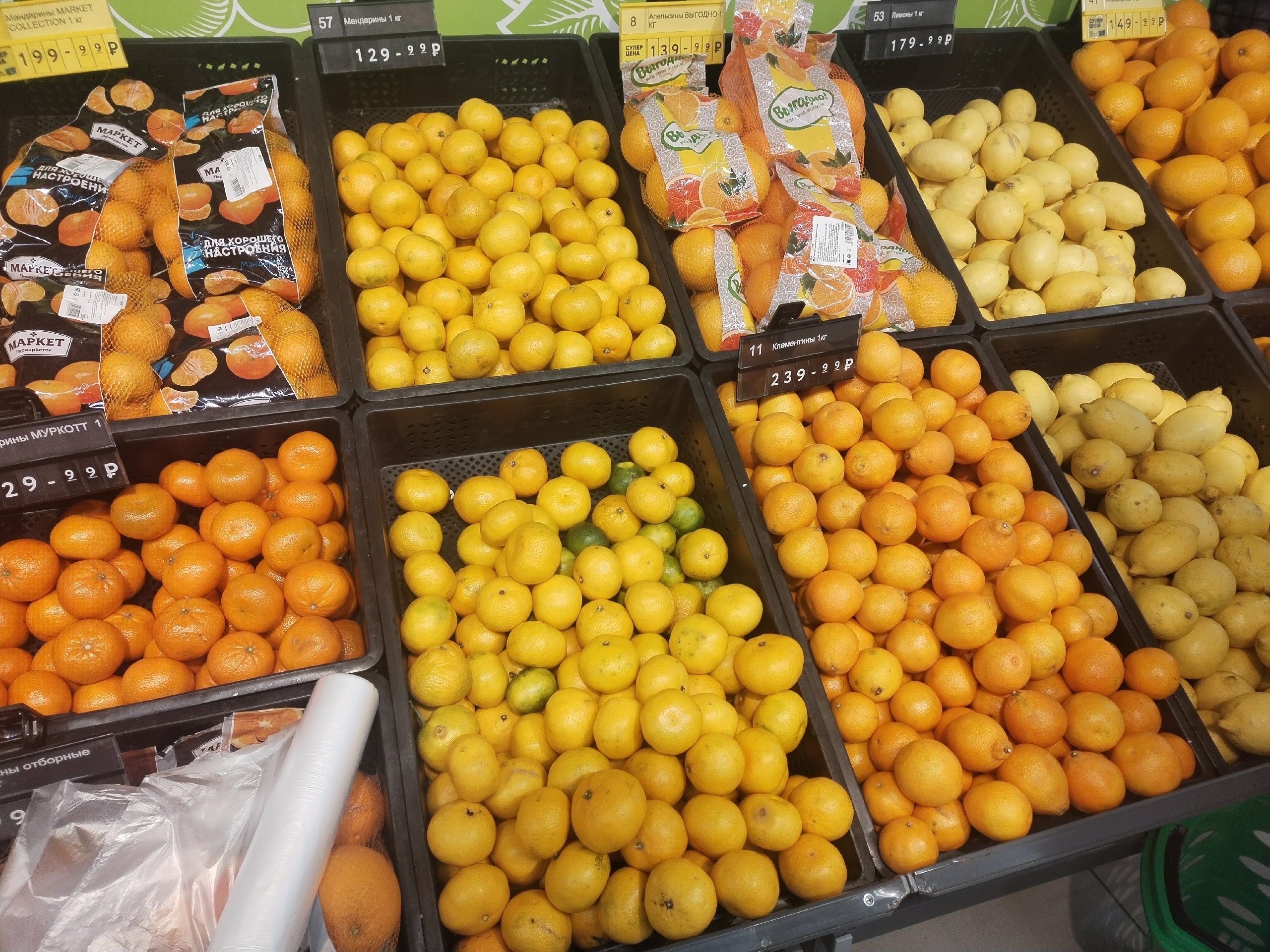 Фото: В курсе.ру Полина Анкушина