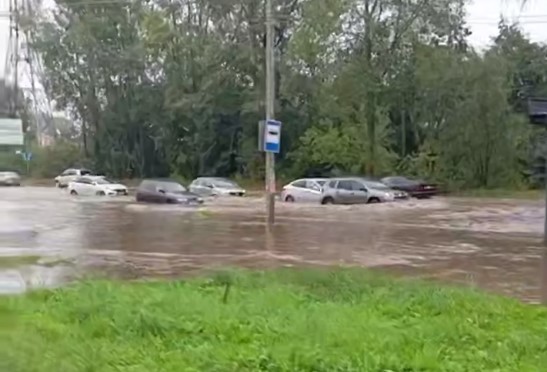 Фото: Палим Чайковский / ТГ