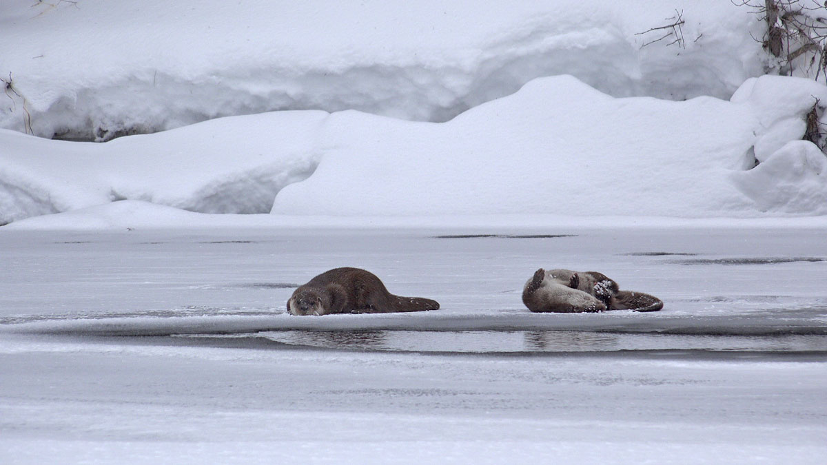 Фото: Виктор Семенов