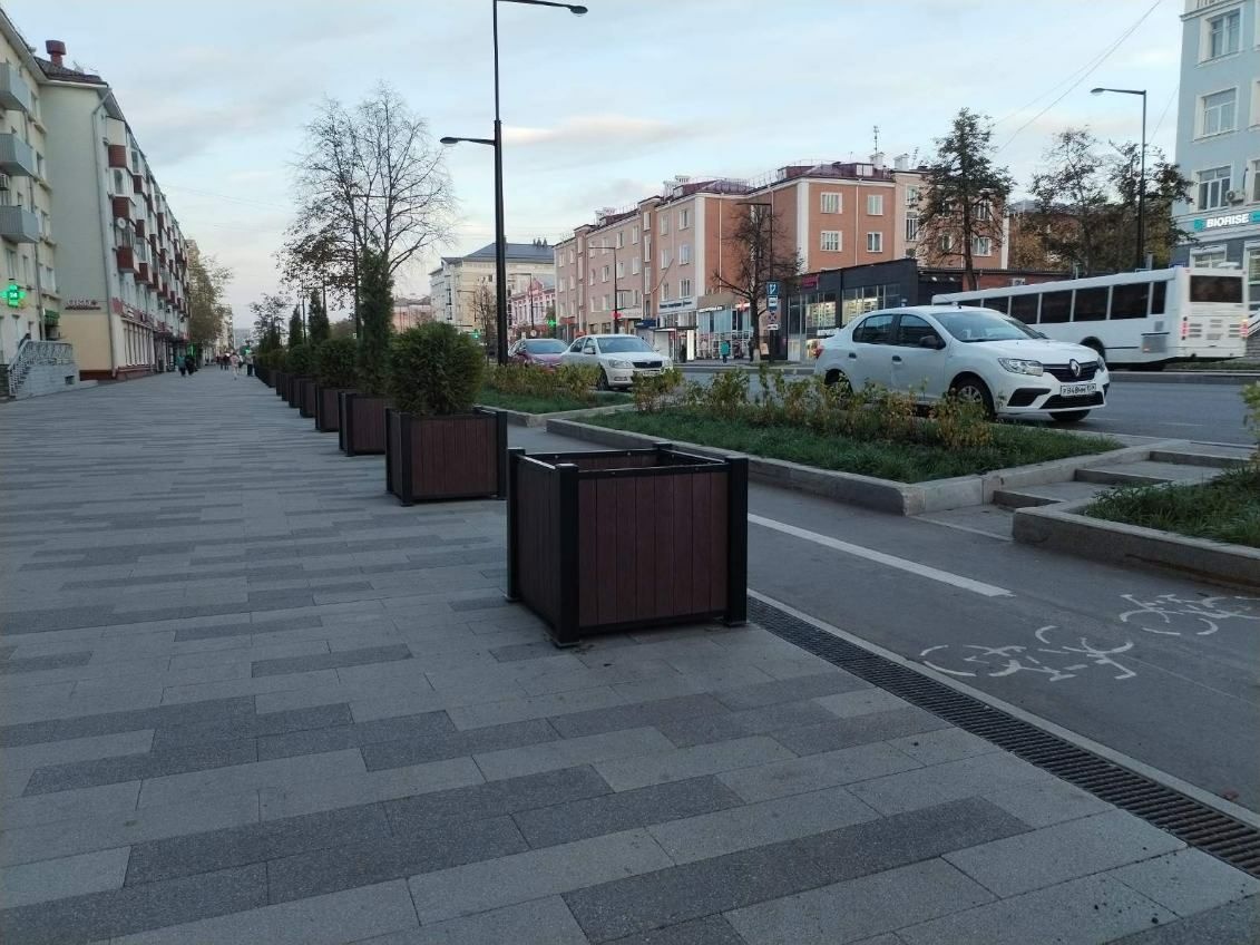 Фото: 
МКУ «Городское зеленое строительство» г.Пермь / VK
