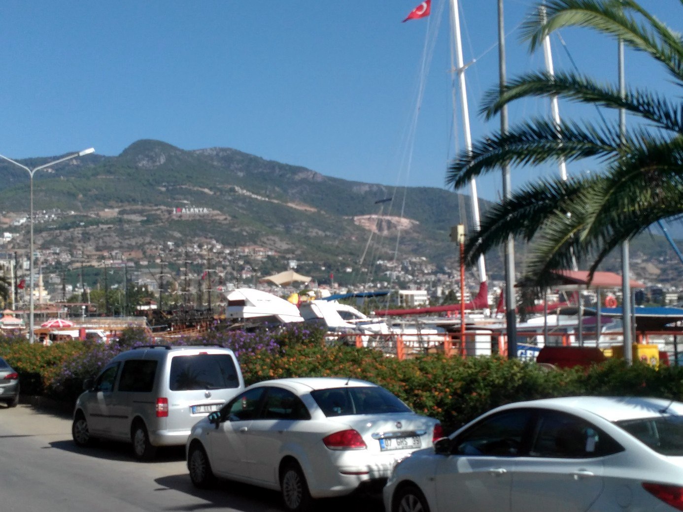 Фото: Полина Анкушина