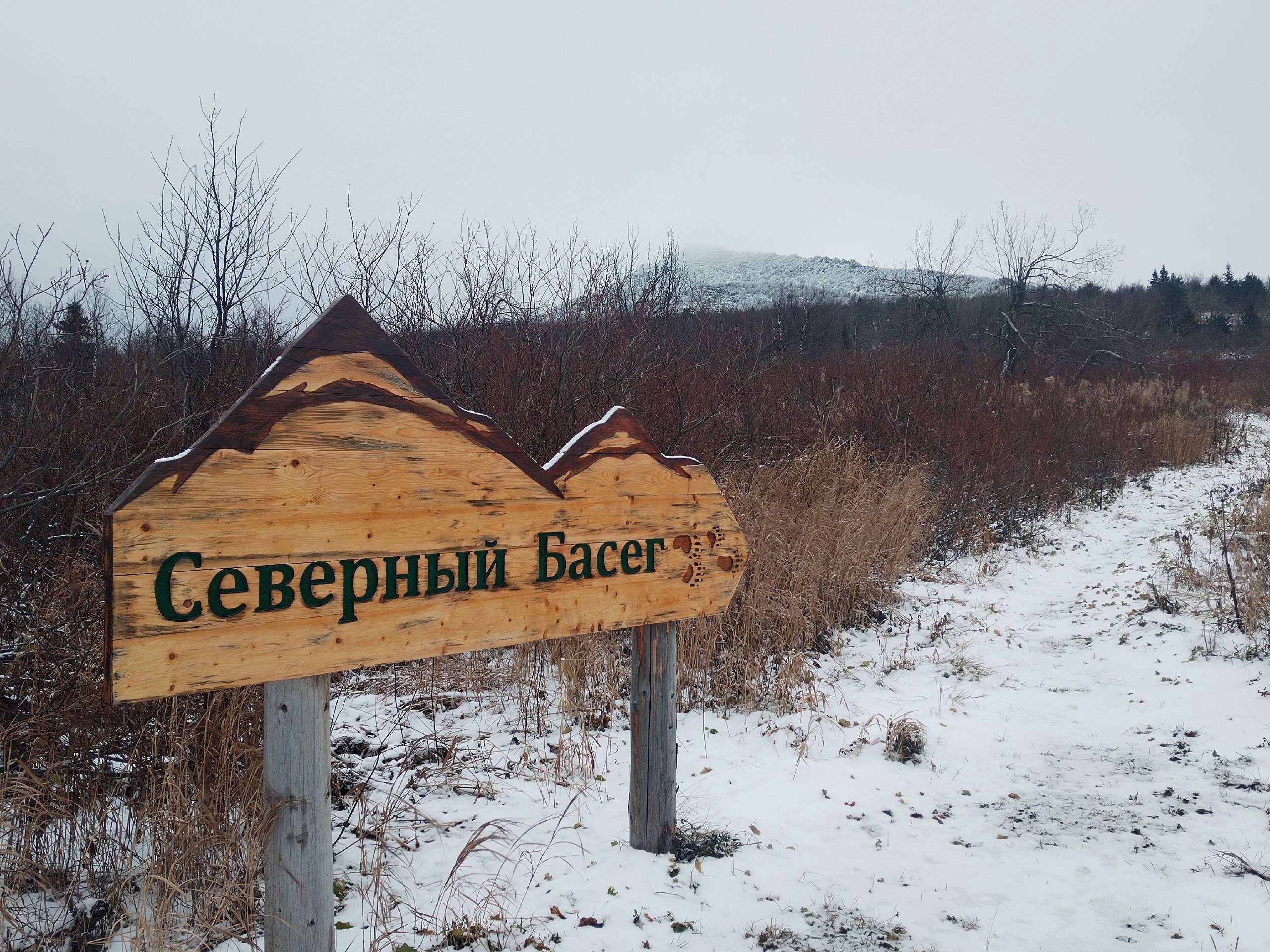 Фото: Полина Анкушина