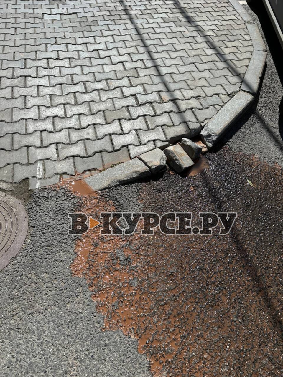 Фото: В курсе.ру