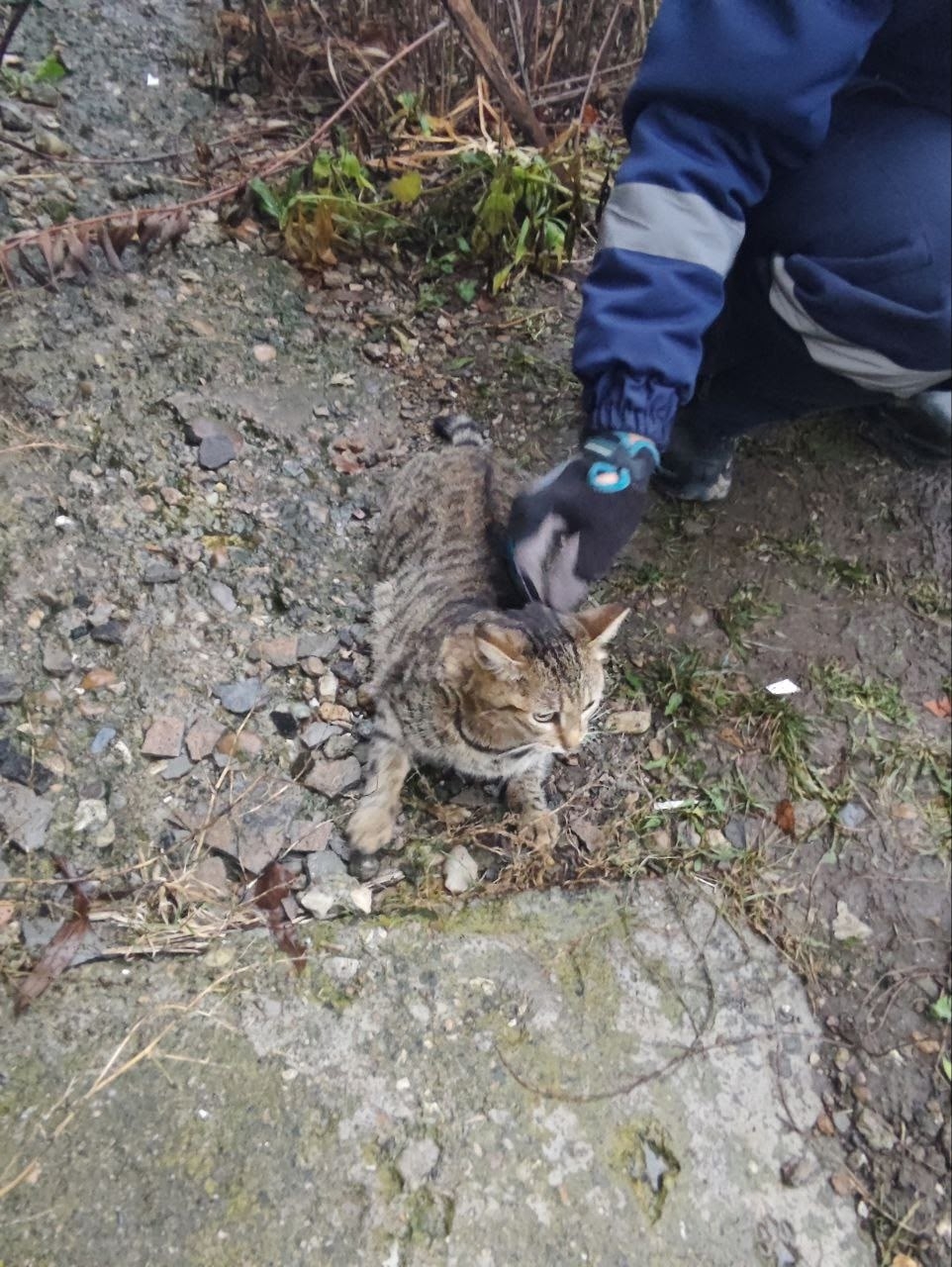 Фото: Поисково-спасательная служба Кунгурского МО