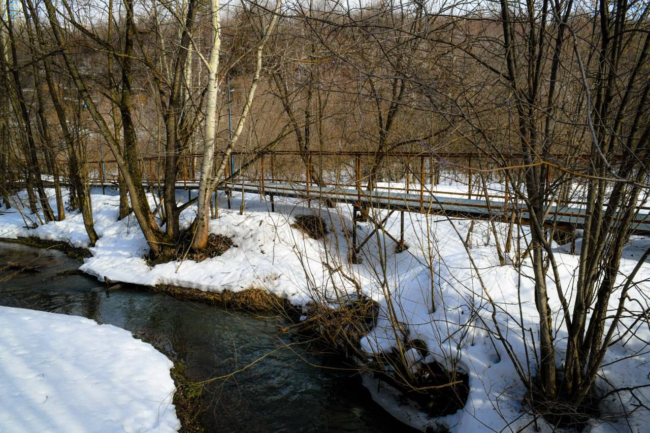 Фото: Эдуард Соснин / тг