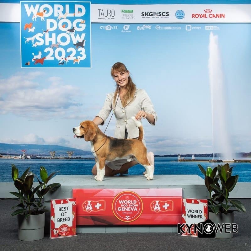 Фото: Дарья Моисеева, Татьяна Костарева