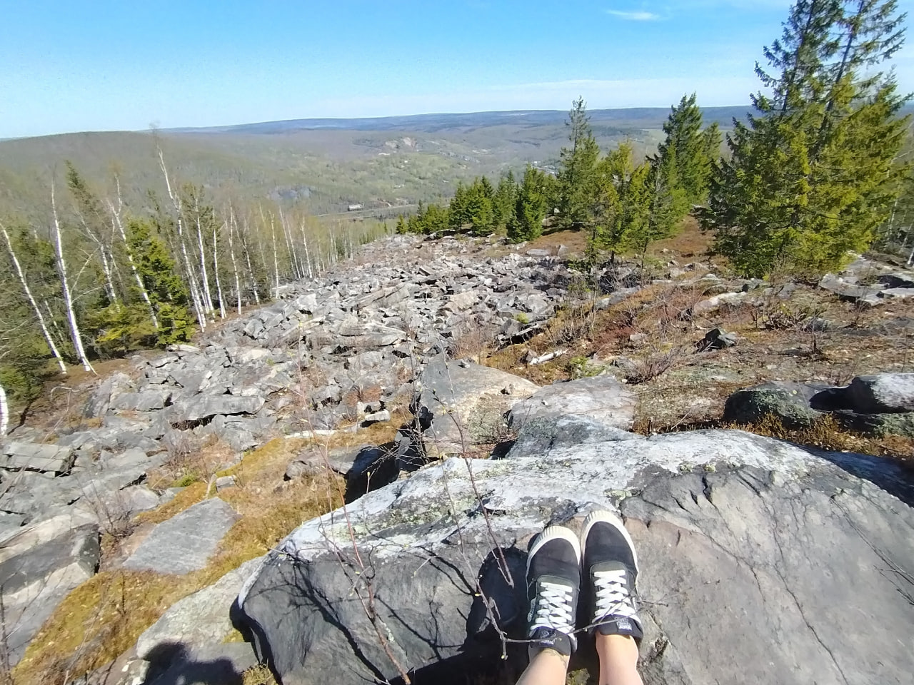 Фото: В курсе.ру