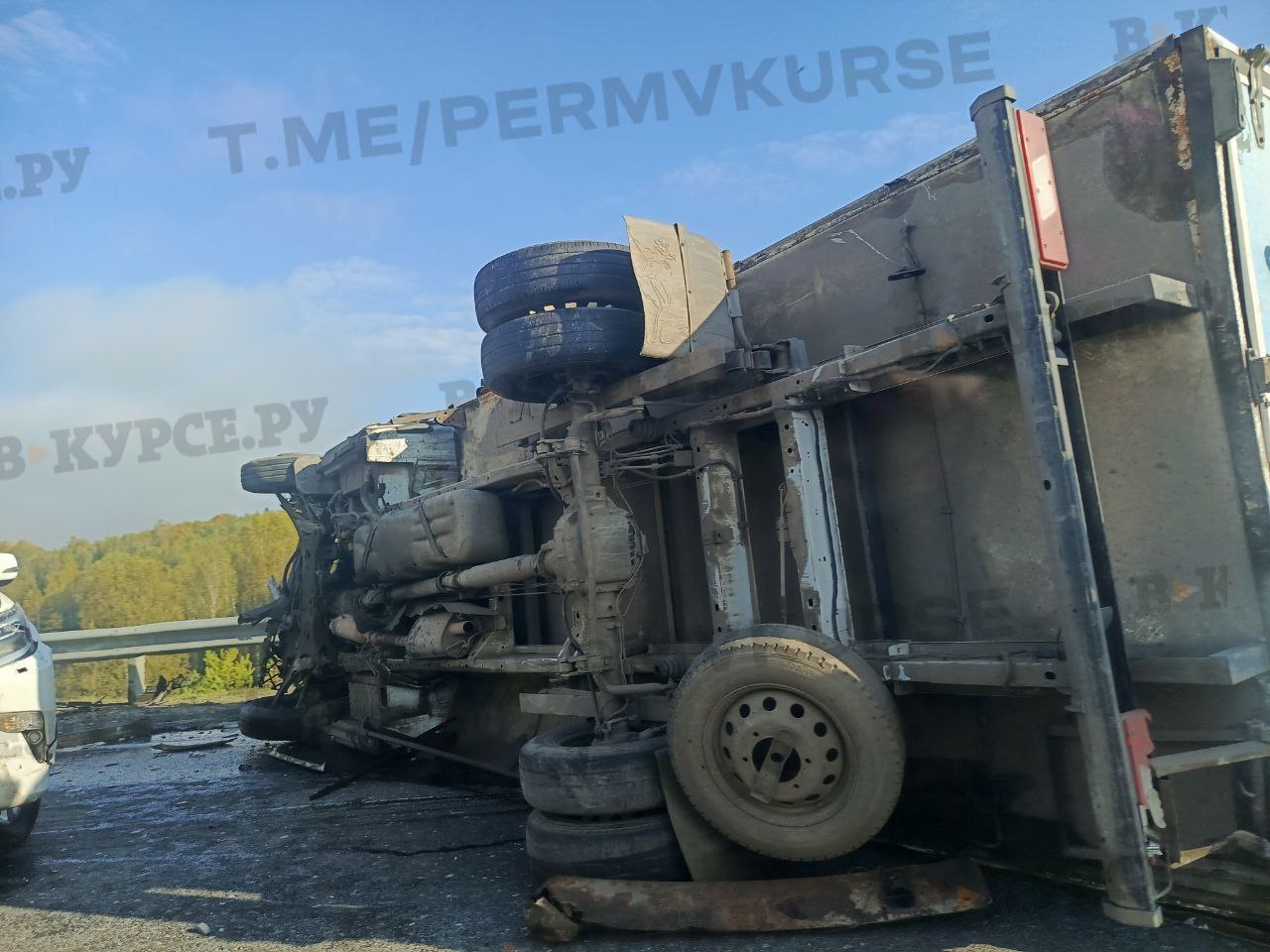 Фото: В курсе.ру