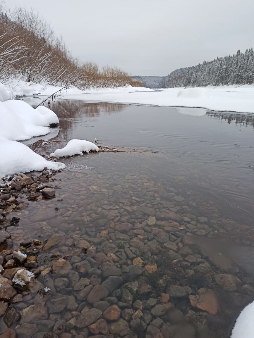 Фото: государственный инспектор в области охраны окружающей среды Пермского края А.А. Елов