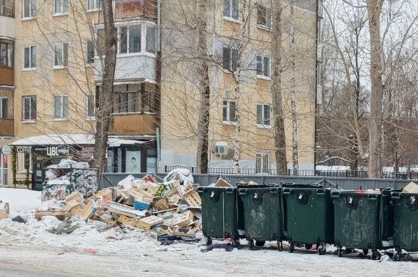 Фото: читатель