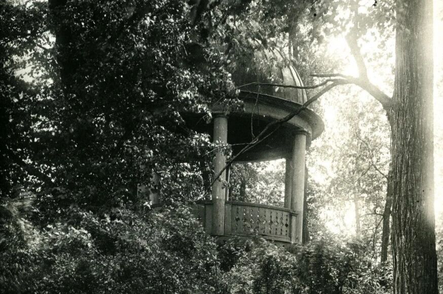 предоставлено Михаилом Девятериковым