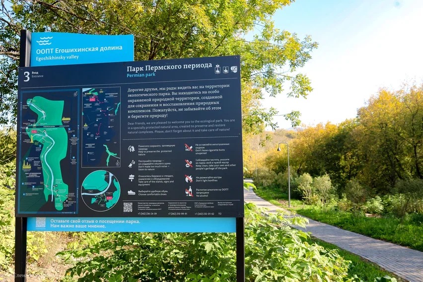 Фото: Елена Майорова